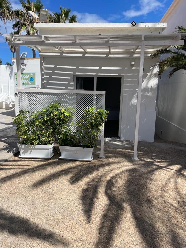 Apartamentos Punta Elena Beach コラレホ エクステリア 写真