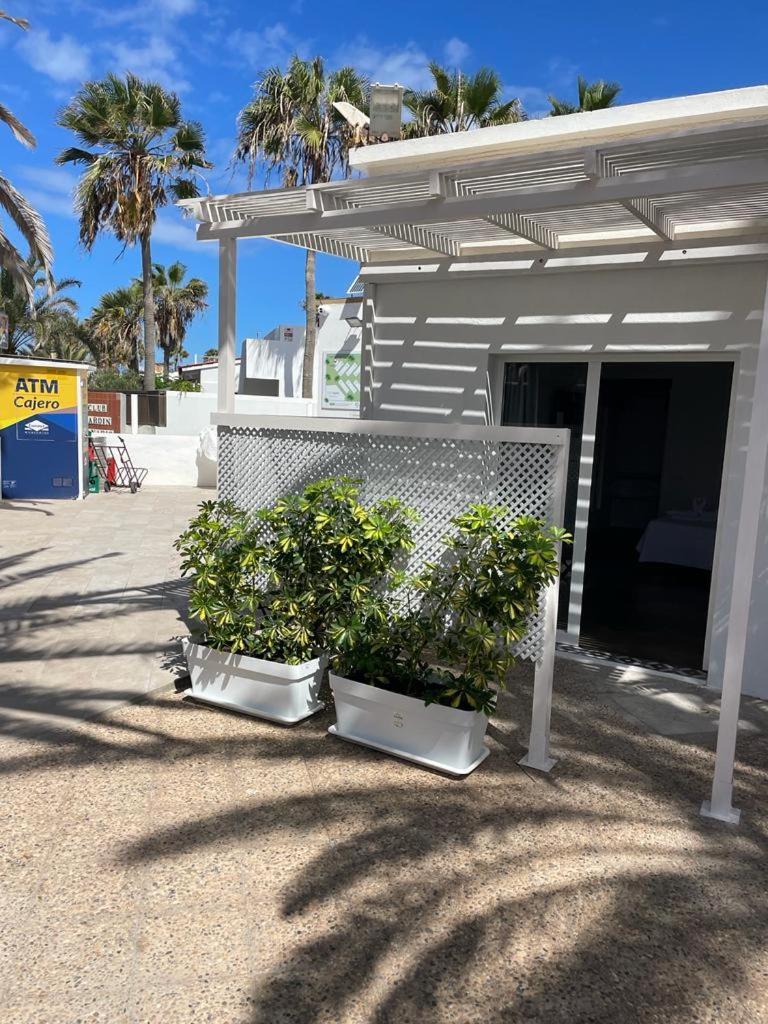 Apartamentos Punta Elena Beach コラレホ エクステリア 写真