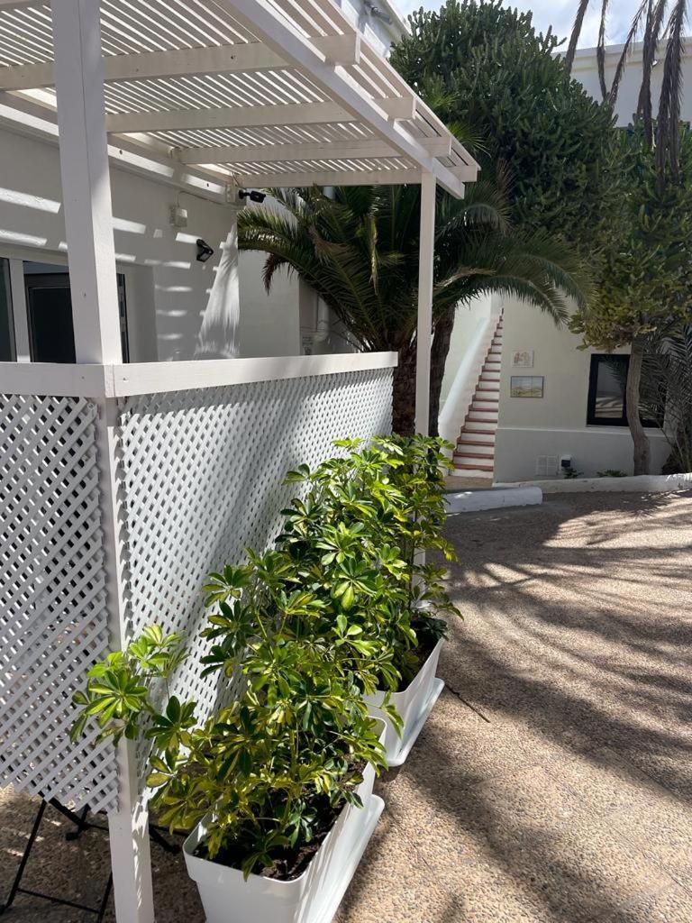 Apartamentos Punta Elena Beach コラレホ エクステリア 写真